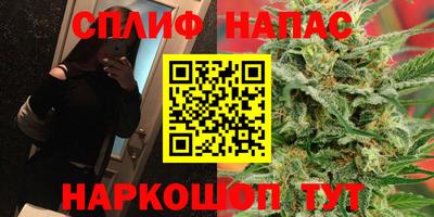 сатива Пенза