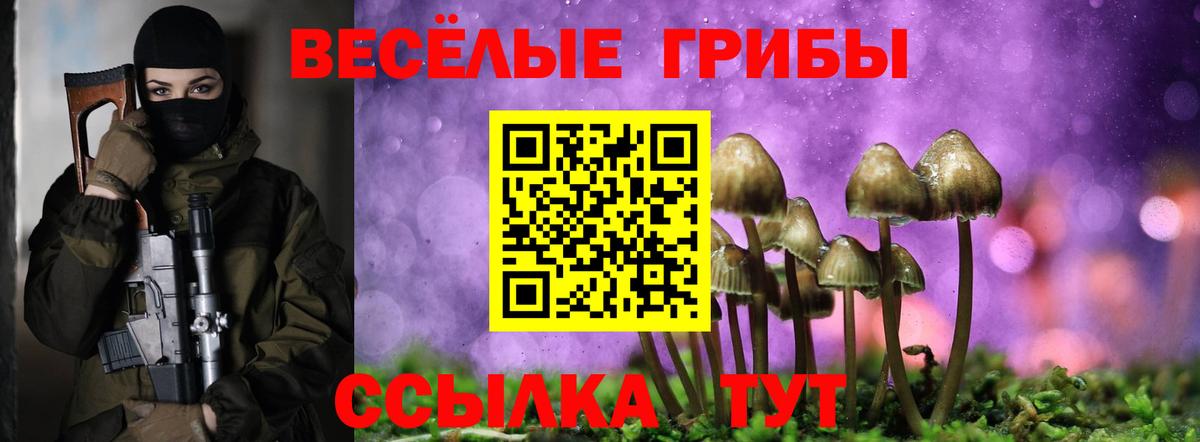 Похвистнево  Галлюциногенные грибы мухоморы  цены   Вход с VPN 